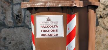 Rifiuti, raccolta differenziata, frazione organica